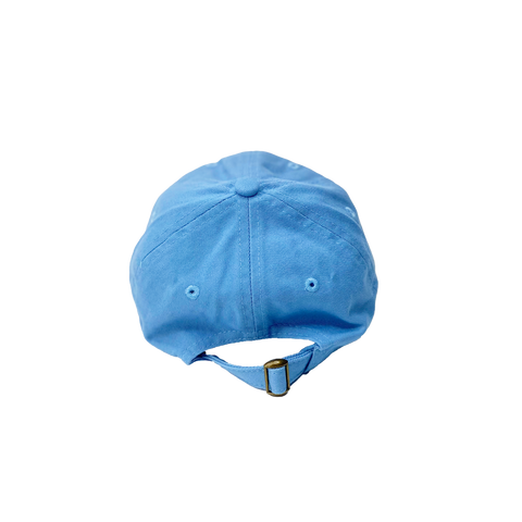 Indiana STATE Dad Hat