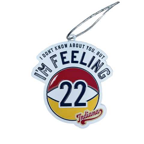 Feeling 22 Indy Womens Pro Basketball Ornament