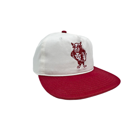 IU Bison General 2-Tone Hat